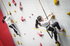 “腾讯版帕鲁”《创造吧！我们的星球》今日已上线！